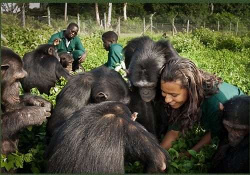 Care-Giver-in-Ngamba-Island