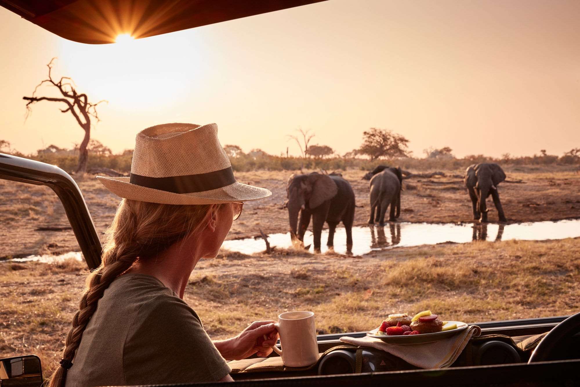 Elephant-Lodge