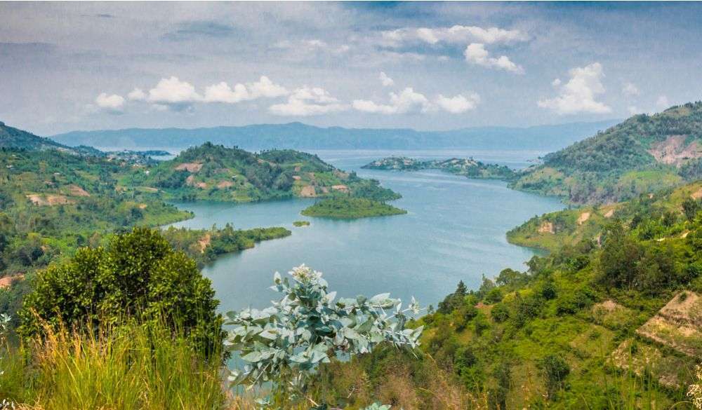 5 days Nyungwe forest Virunga and Lake Kivu Safari