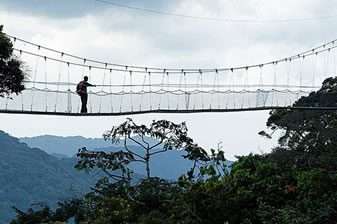 15 Days Best of Uganda and Rwanda Safari 2 nyungwe