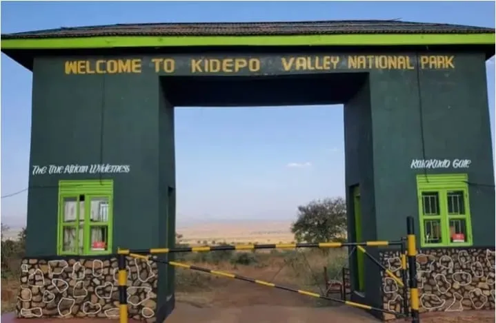 Home 17 KidepoValley900a011